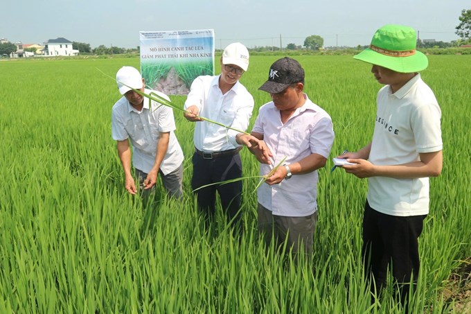 Học viện Nông nghiệp Việt Nam: Tiên phong nghiên cứu hướng đi xanh trong nông nghiệp